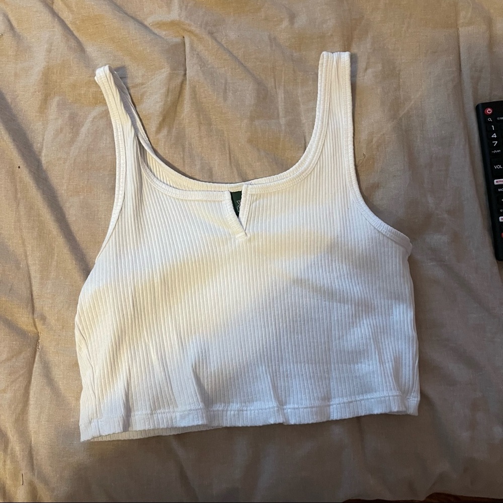 wild fable top